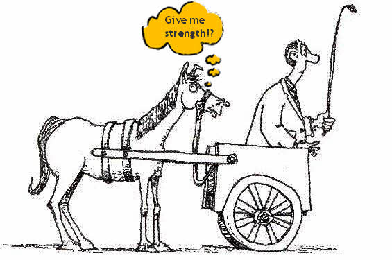 Cart Before The Horse Cartoon